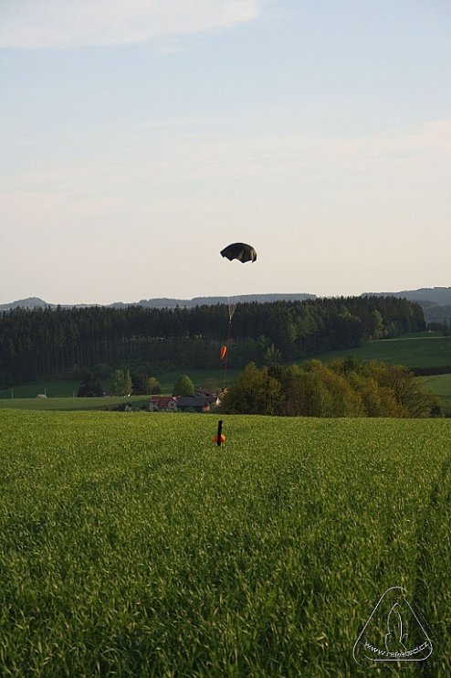 2012 Svojek mirek patek